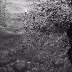 国精产品学生无套
